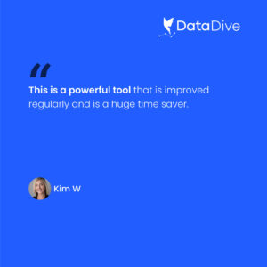 Kim W testimonial post about Data Dive